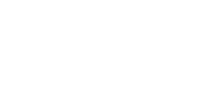 Dads Connect Logo (White)